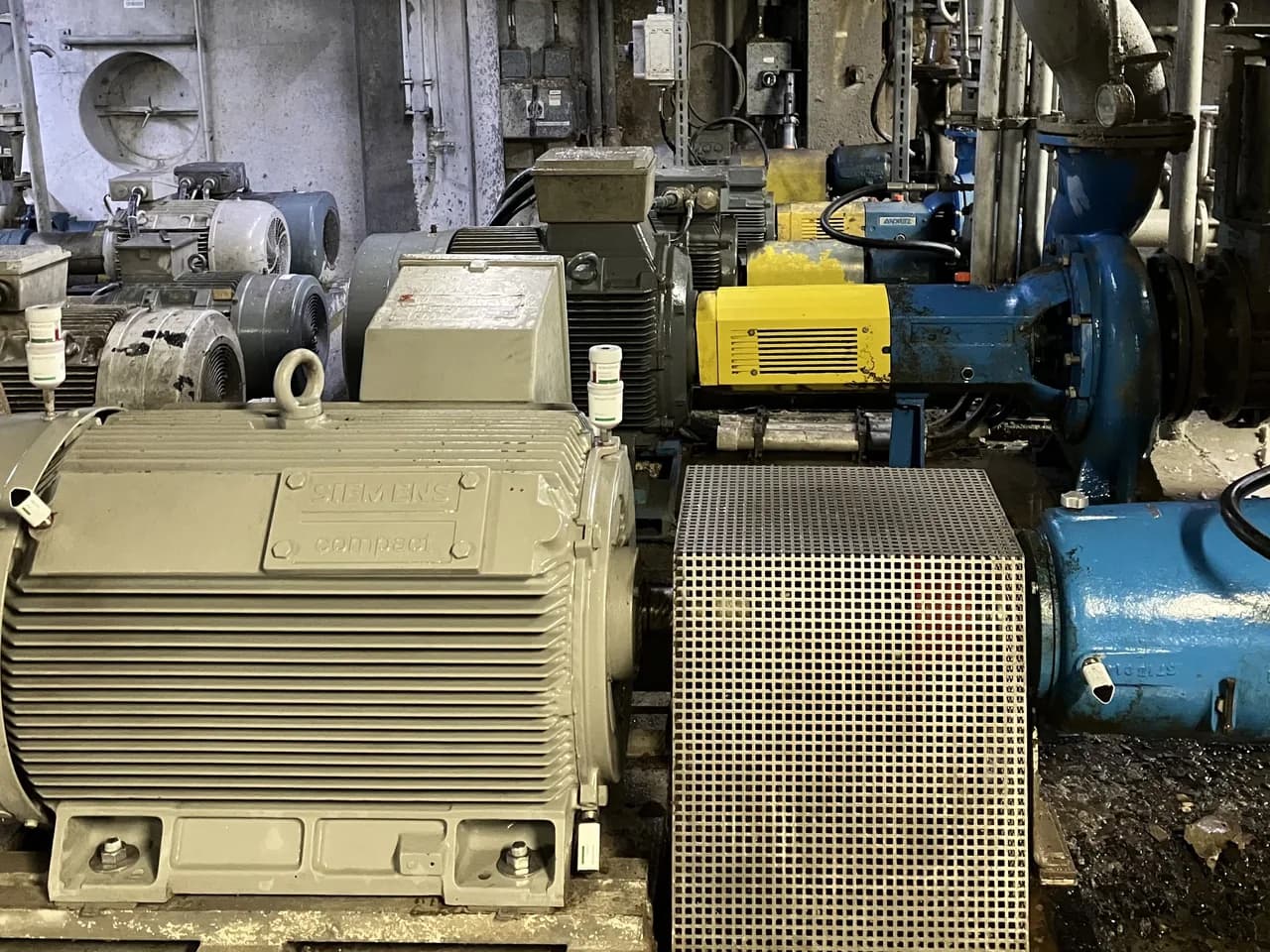 Drive motor with automatic lubricators coupled behind a mesh guard to a blue centrifugal pump