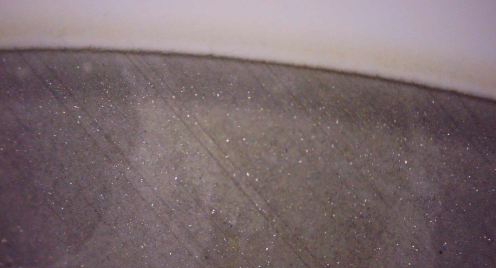 Microscope view of the initial membrane patch with dense visible specks